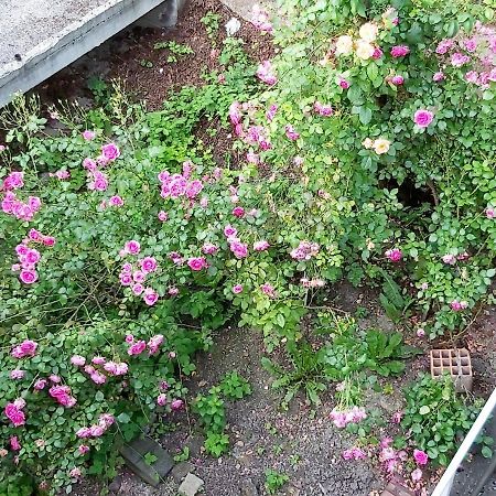 Mija Apartment Сараево Екстериор снимка
